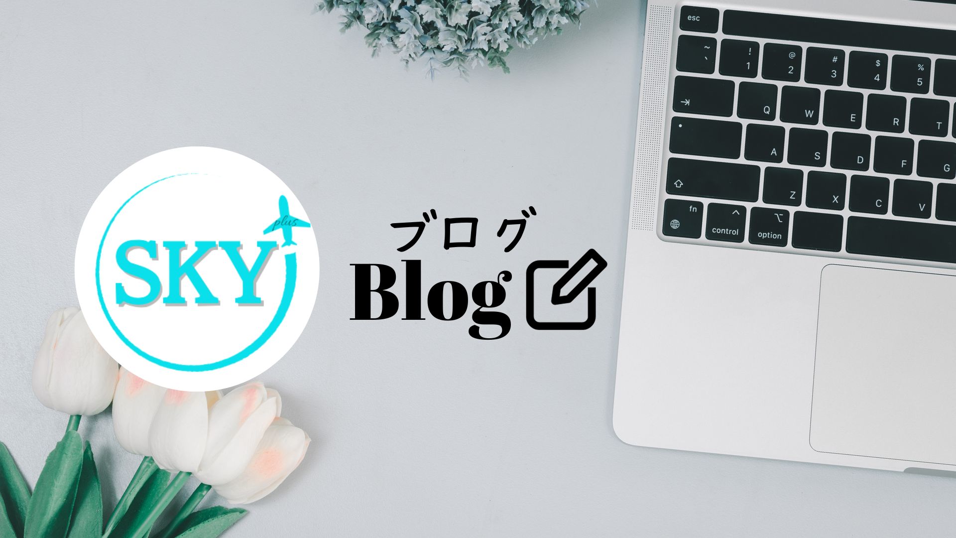 格安旅行パラダイストラベル